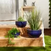 Ocean Blue Planter Trio